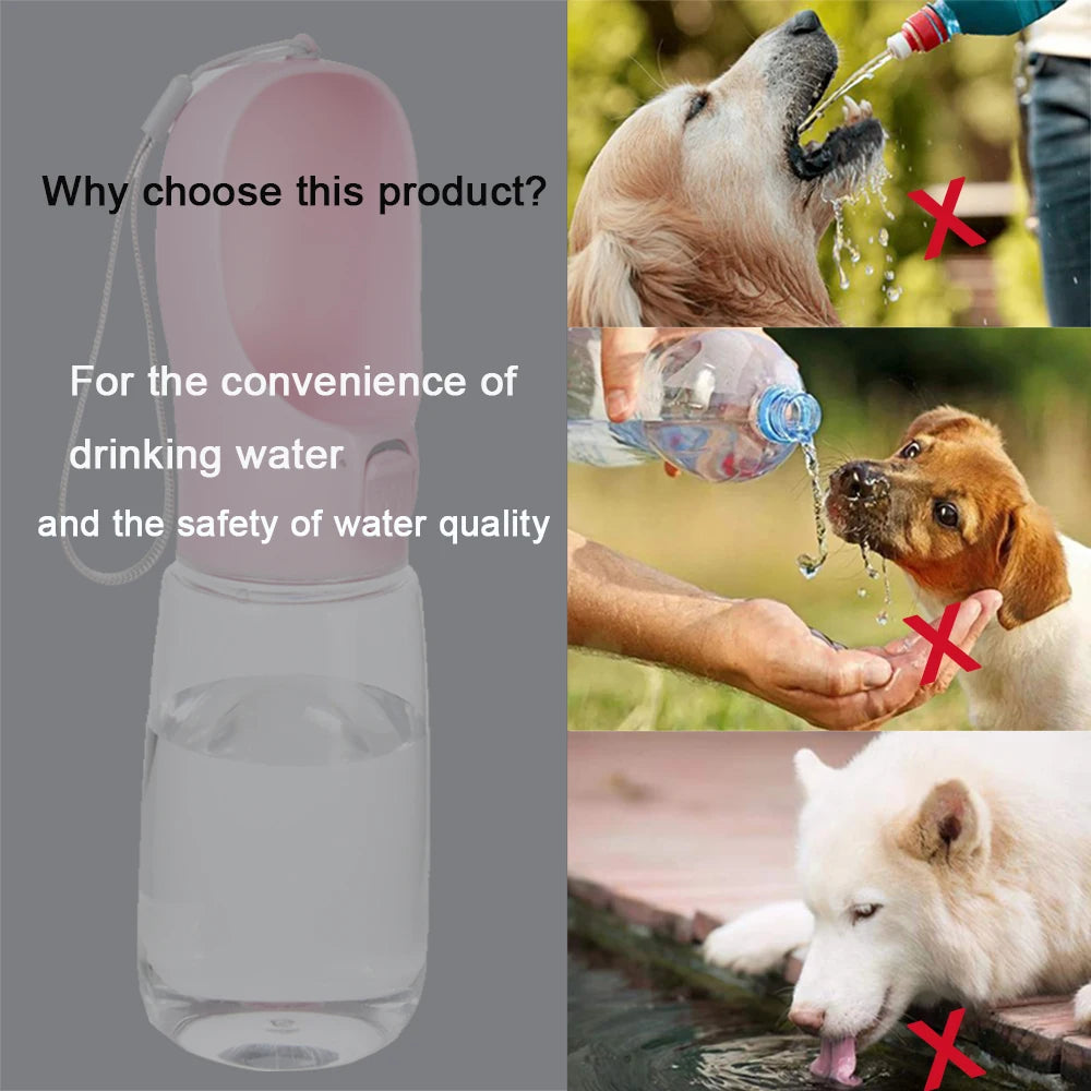 Pet Water Bottle