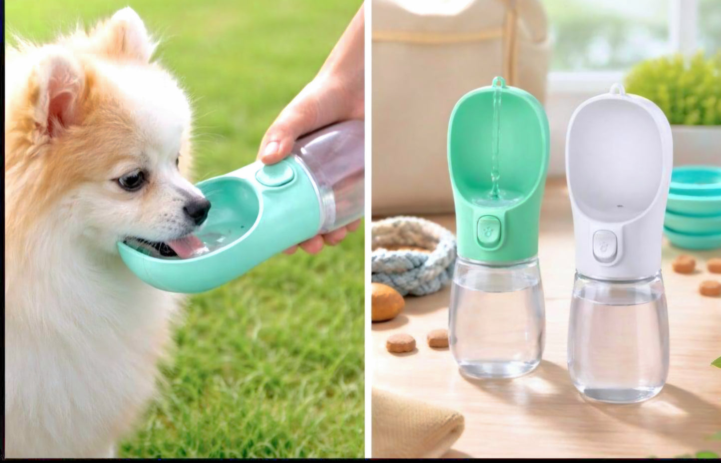 Pet Water Bottle